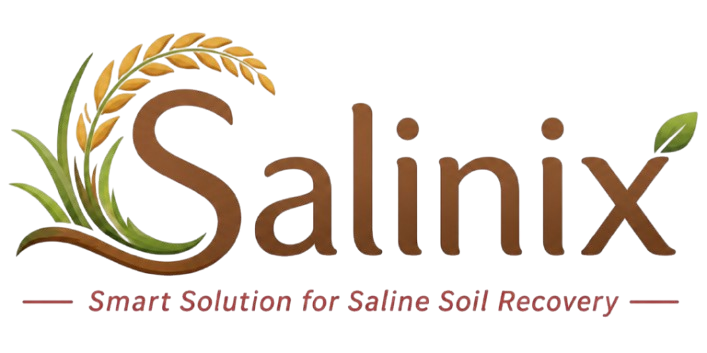SALINIX Logo